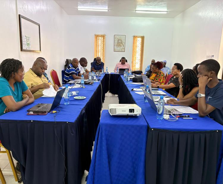 Workshop For The Validation Of Competition Tribunal Strategic Plan And Risk Management Policy